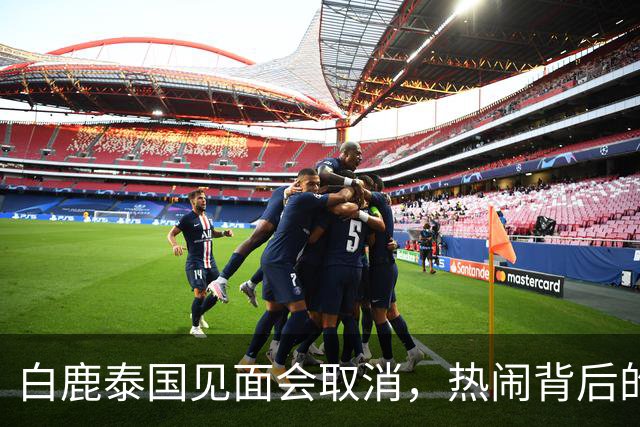 白鹿泰国见面会取消，热闹背后的那些事儿