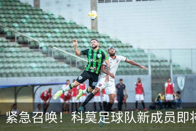 紧急召唤！科莫足球队新成员即将闪亮登场
