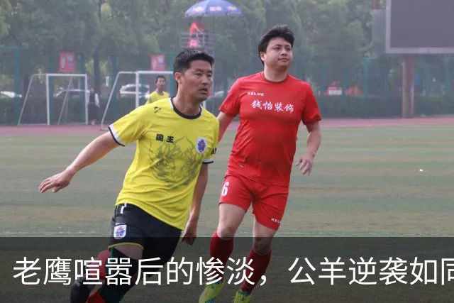 老鹰喧嚣后的惨淡，公羊逆袭如同影戏翻盘